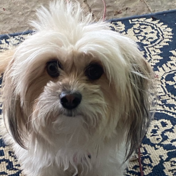 ANY REASONABLE OFFER ENTERTAINED🌺🌿🌺 - Picture 10 of 15